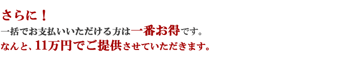 さらに一括払いは110,000円でご提供