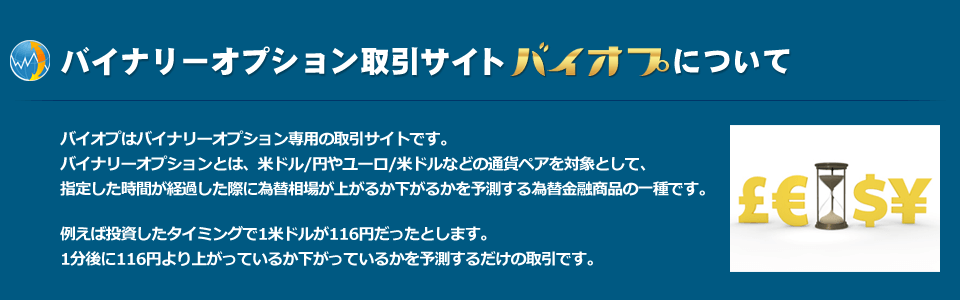 バイナリーオプション取引サイト