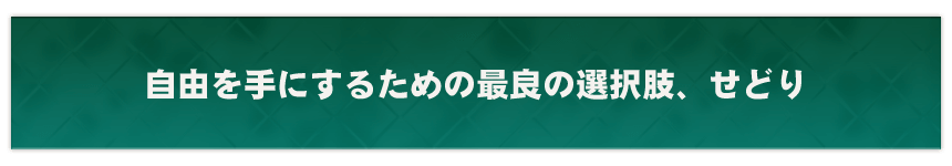 自由を手にするための最良の選択肢、せどり