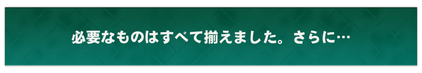 必要なものはすべて揃えました。さらに…