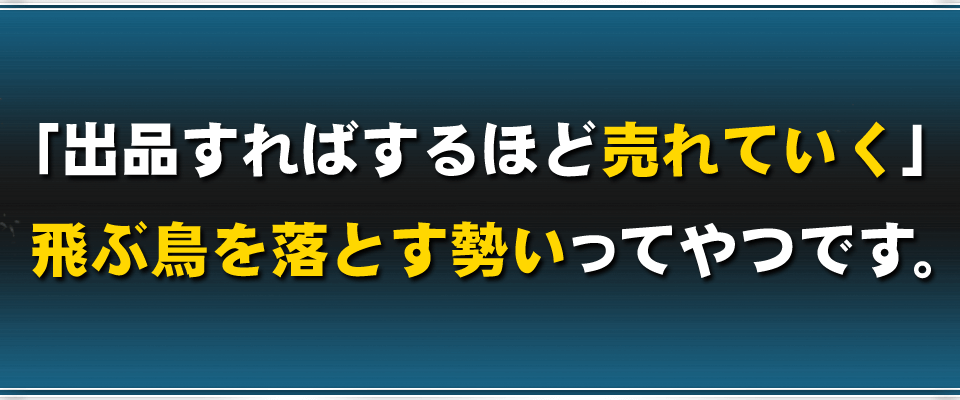 「出品すればするほど売れていく」飛ぶ鳥を落とす勢いってやつです。