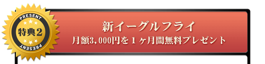 特典2：新イーグルフライ