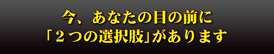 今、あなたの目の前に「２つの選択肢」があります