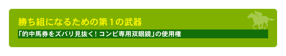 「的中馬券をズバリ見抜く！魔法のコンピ専用双眼鏡」の使用権