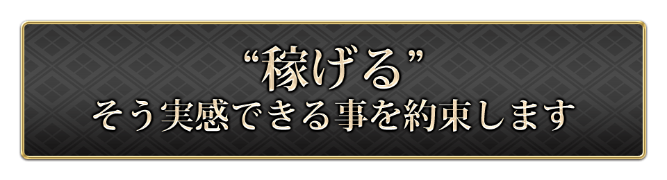 稼げるそう実感できる事を約束します