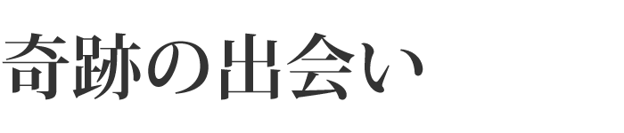 奇跡の出会い