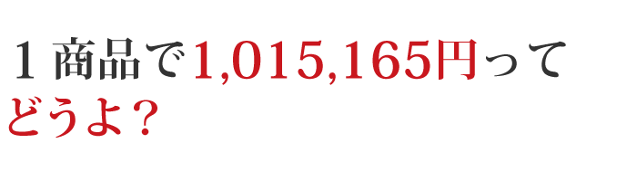 １商品で1,015,165円ってどうよ？