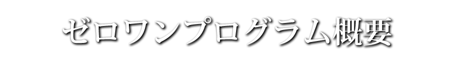 ゼロワンプログラム概要