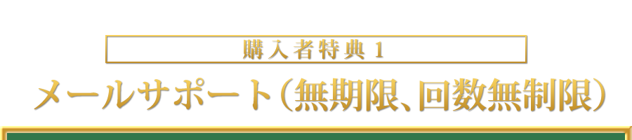 メールサポート（無期限、回数無制限）