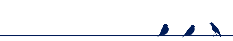 ツイッターは稼げます。稼げますが…