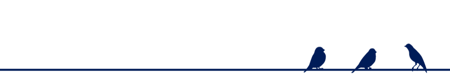 ツイッターだけで一生食べていけますか？