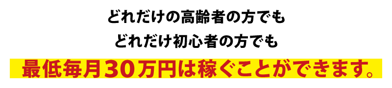 どれだけの高齢者の方でもどれだけ初心者の方でも最低毎月３０万円は稼ぐことができます。