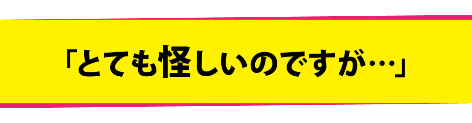 「とても怪しいのですが…」