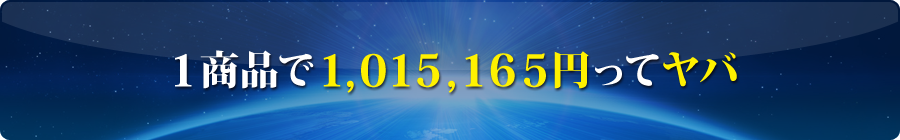 １商品で1,015,165円ってヤバ