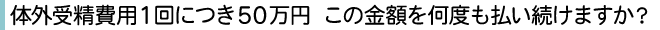 体外受精費用1回につき50万円この金額を何度も払い続けますか？
