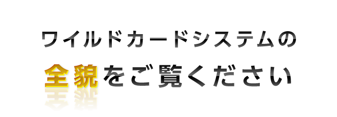 ワイルドカードシステムの
全貌をご覧ください